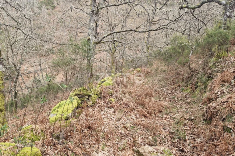 Terreno para Venda em Salto Foto 15