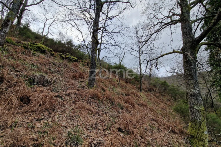 Terreno para Venda em Salto Foto 14