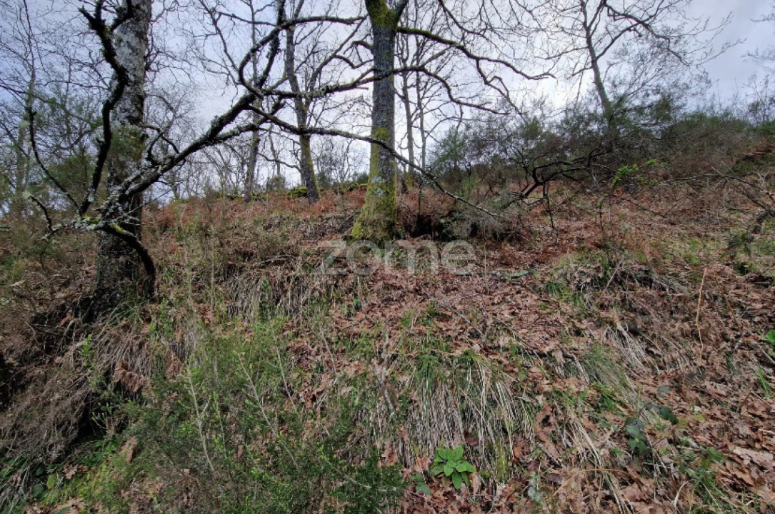Terreno para Venda em Salto Foto 18