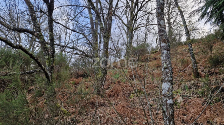 Terreno para Venda em Salto