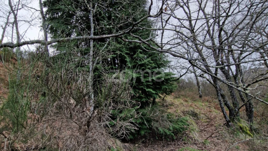 Terreno para Venda em Salto