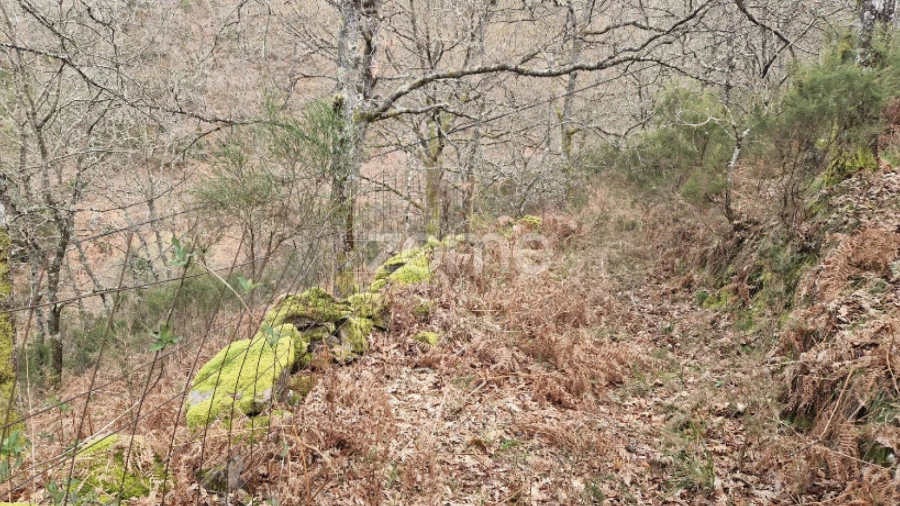 Terreno para Venda em Salto
