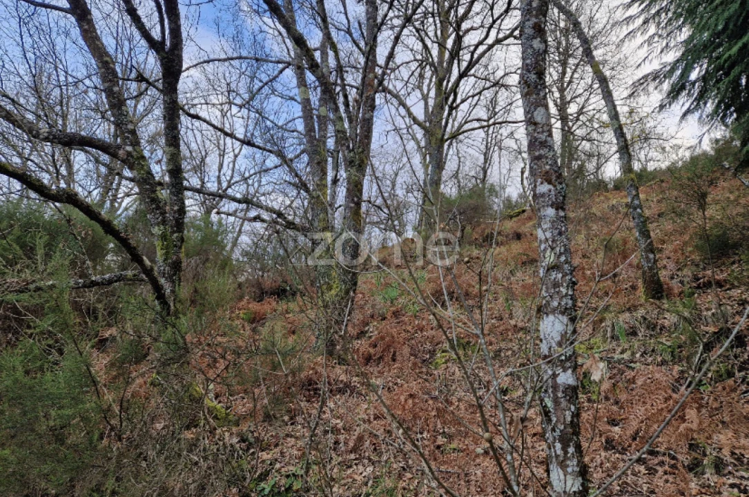 Terreno para Venda em Salto Foto 2