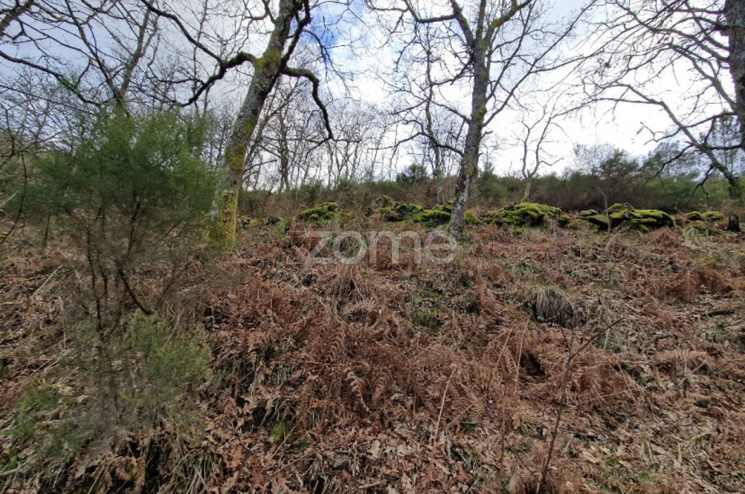 Terreno para Venda em Salto Foto 24