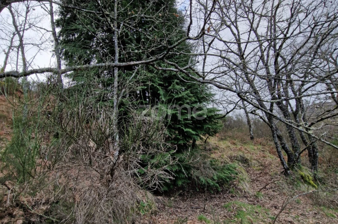 Terreno para Venda em Salto Foto 25