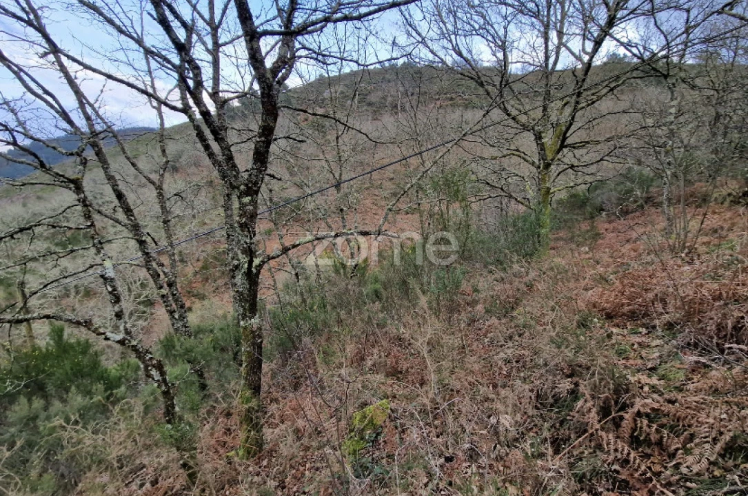 Terreno para Venda em Salto Foto 9