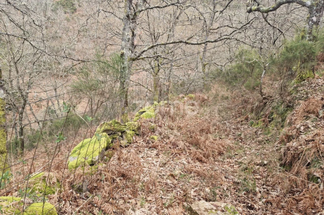 Terreno para Venda em Salto Foto 15