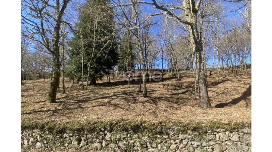 Terreno para Venda em Salto Foto 14