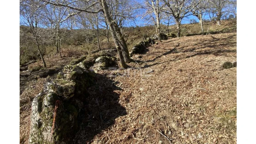 Terreno para Venda em Salto Foto 12