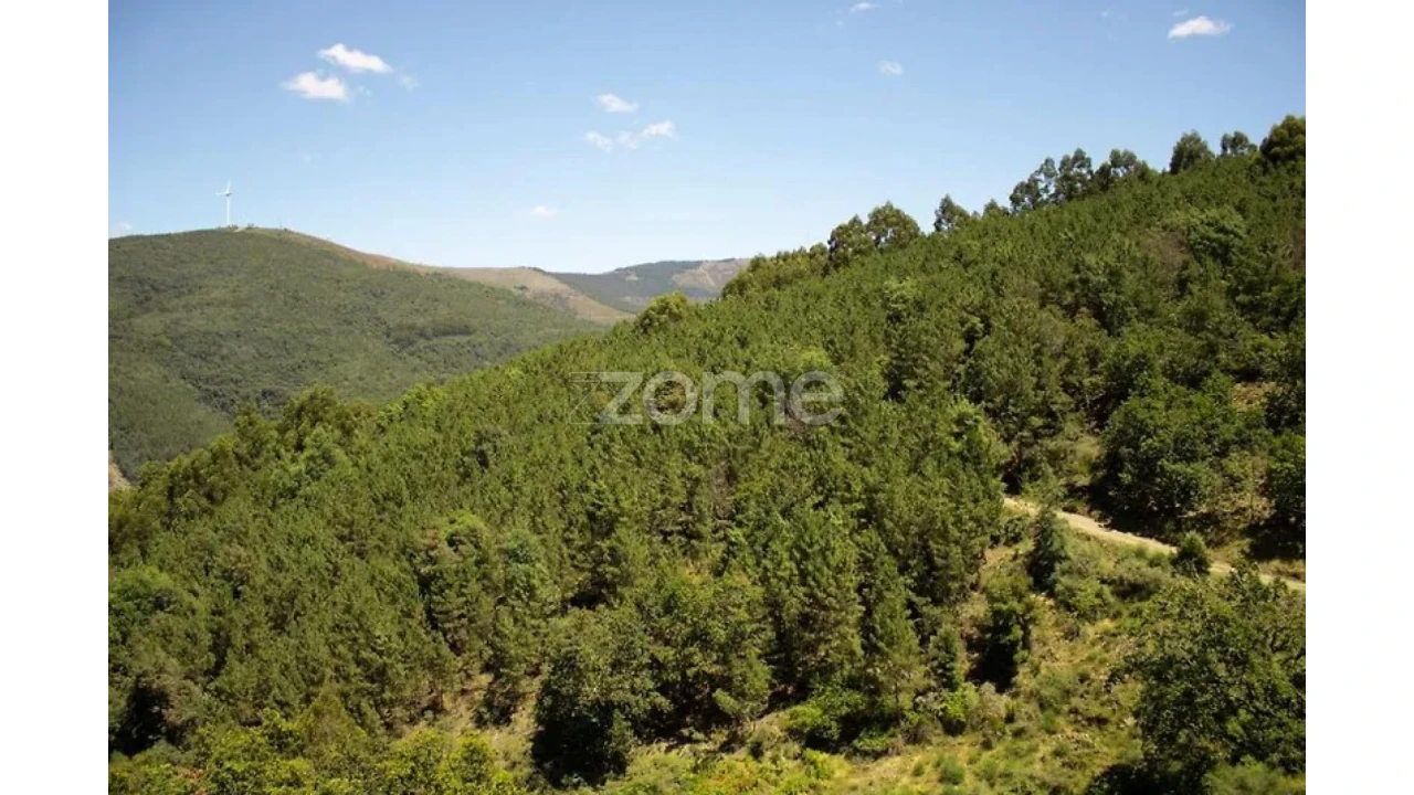 Quinta T4 para Venda em Lousã e Vilarinho Foto 25