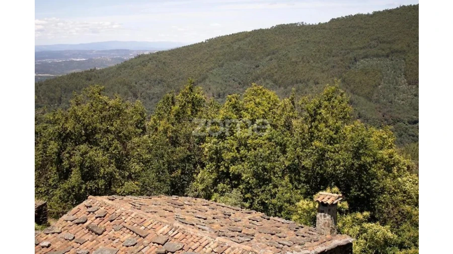 Quinta T4 para Venda em Lousã e Vilarinho Foto 21