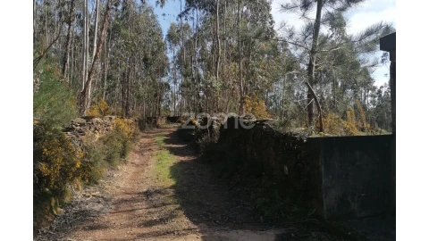 Terreno para Venda em Vila Nova de Famalicão e Calendário