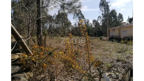 Terreno para Venda em Vila Nova de Famalicão e Calendário