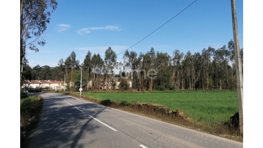 Terreno para Venda em Vila Nova de Famalicão e Calendário Foto 12
