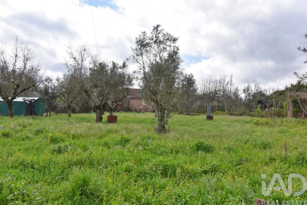 Moradia T3 para Venda em São Miguel, Santa Eufémia e Rabaçal Foto 24