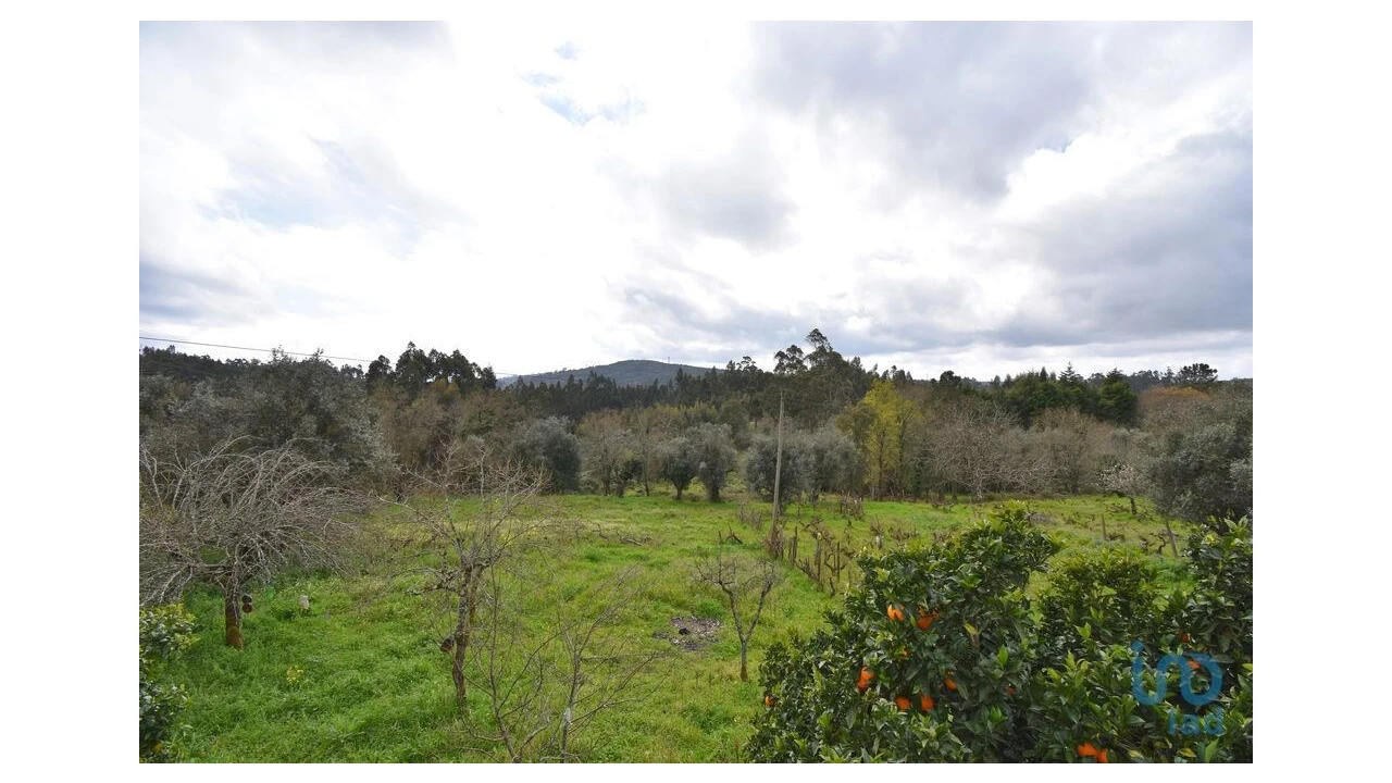 Moradia T3 para Venda em São Miguel, Santa Eufémia e Rabaçal Foto 13