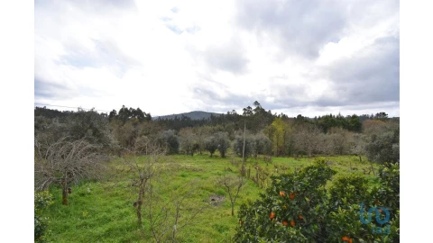 Moradia T3 para Venda em São Miguel, Santa Eufémia e Rabaçal