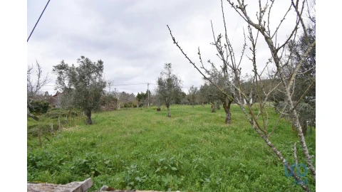 Moradia T3 para Venda em São Miguel, Santa Eufémia e Rabaçal