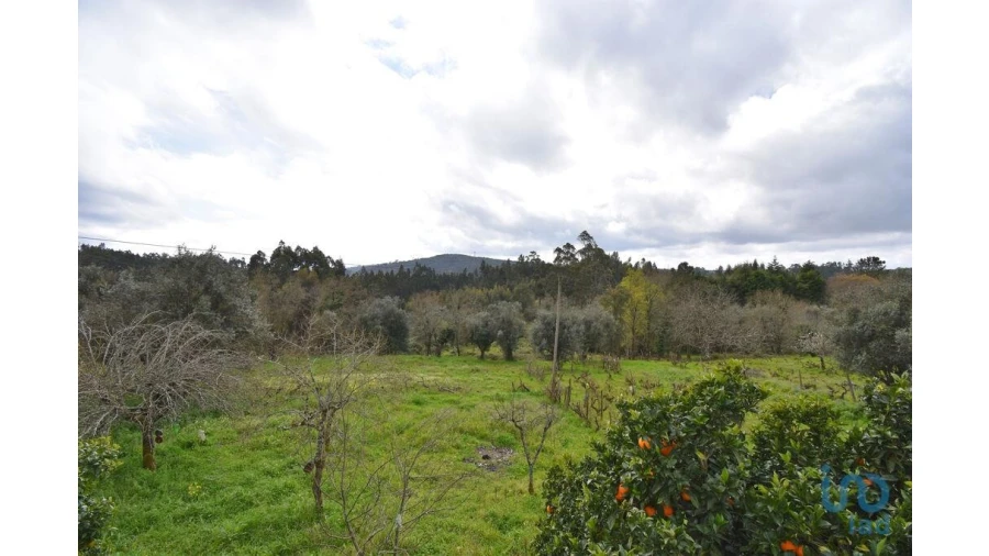 Moradia T3 para Venda em São Miguel, Santa Eufémia e Rabaçal Foto 13
