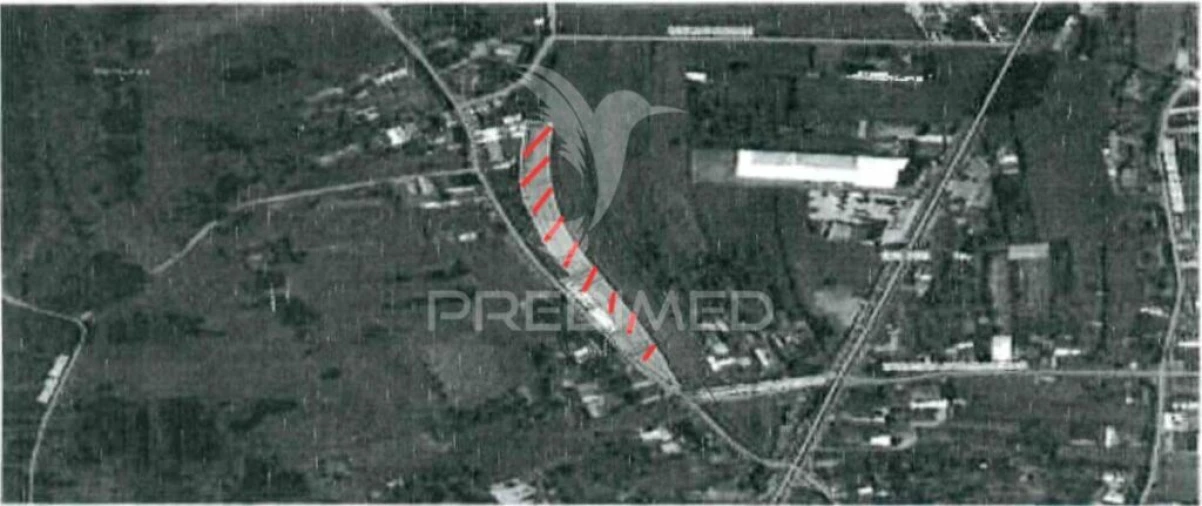 Terreno para Venda em Calvão Foto 4