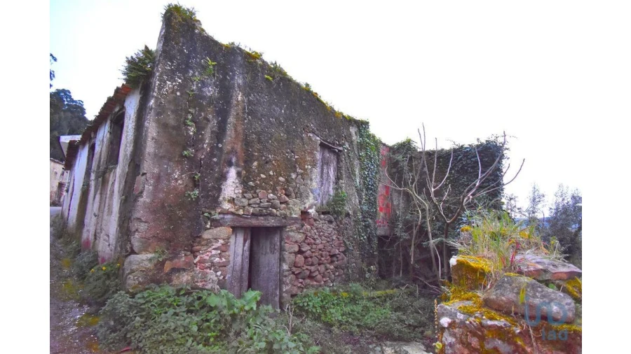 Moradia T3 para Venda em Vila Nova Foto 3