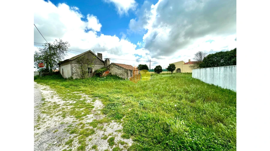 Terreno para Venda em Bom Sucesso Foto 5