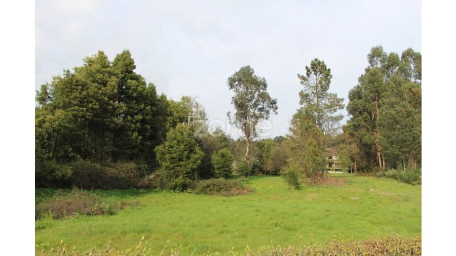 Moradia T4 para Venda em Rio de Loba Foto 21