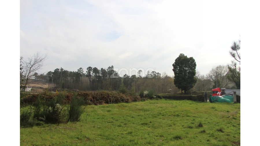 Moradia T4 para Venda em Rio de Loba Foto 22