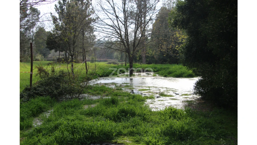 Moradia T4 para Venda em Rio de Loba Foto 20