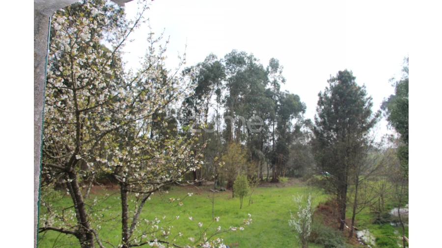 Moradia T4 para Venda em Rio de Loba Foto 24