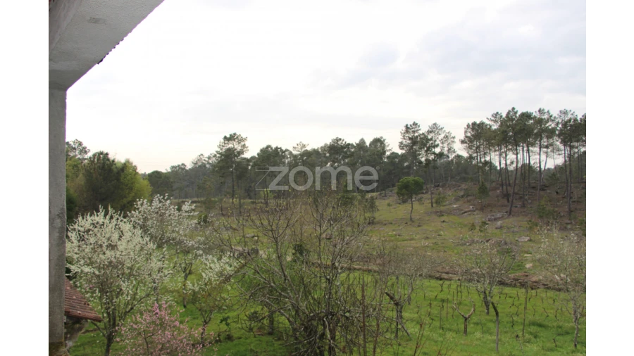 Moradia T4 para Venda em Rio de Loba