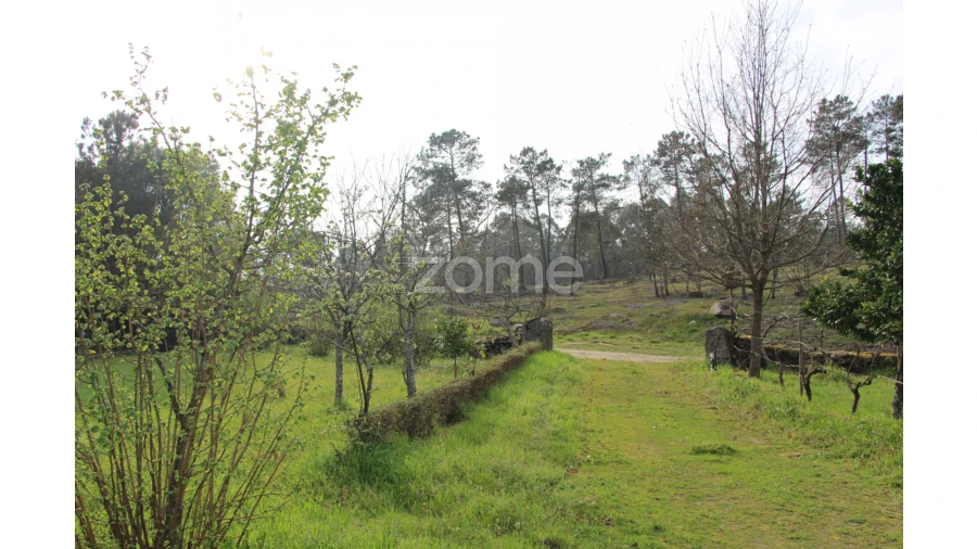 Moradia T4 para Venda em Rio de Loba Foto 25