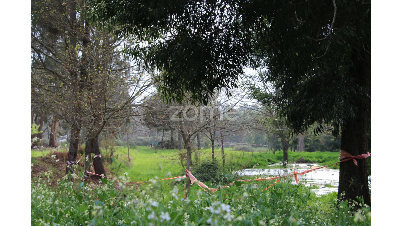 Moradia T4 para Venda em Rio de Loba Foto 19