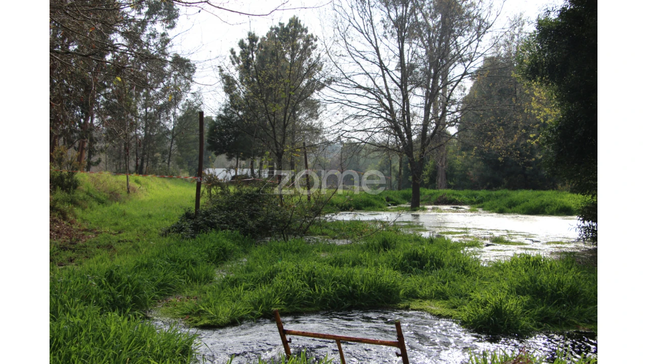 Moradia T4 para Venda em Rio de Loba Foto 18