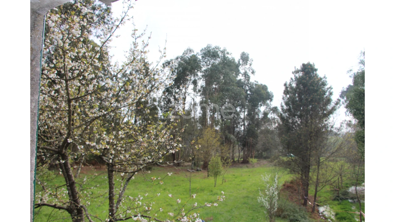 Moradia T4 para Venda em Rio de Loba Foto 24