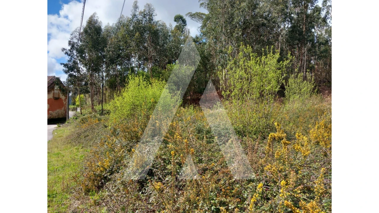 Terreno para Venda em Cesar Foto 2