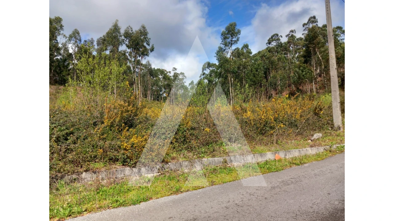 Terreno para Venda em Cesar Foto 13