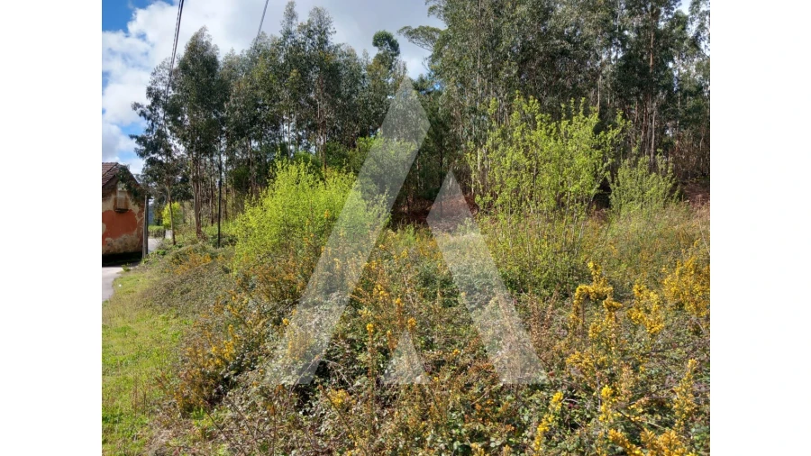 Terreno para Venda em Cesar Foto 2