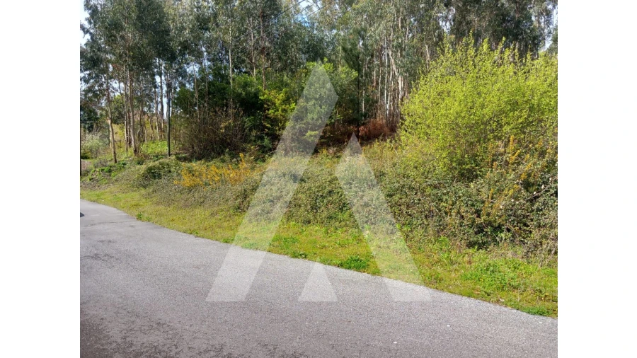 Terreno para Venda em Cesar Foto 4