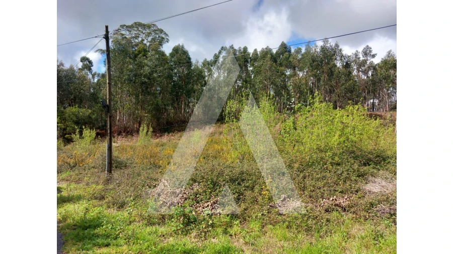 Terreno para Venda em Cesar Foto 9
