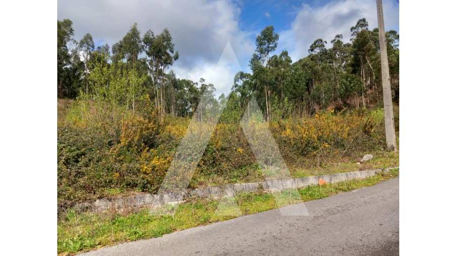 Terreno para Venda em Cesar Foto 13