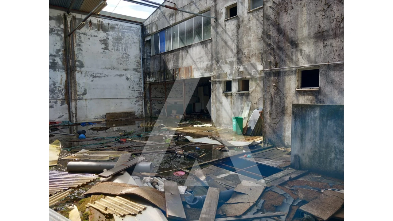 Armazém para Venda em Macieira de Cambra Foto 14