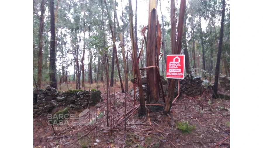 Terreno Agricola ou Rústico para Venda em Remelhe Foto 2