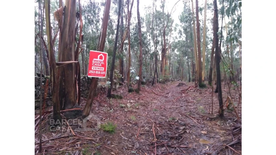 Terreno Agricola ou Rústico para Venda em Remelhe Foto 1