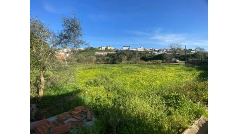 Terreno para Venda em Eiras e São Paulo de Frades