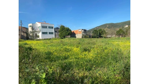 Terreno para Venda em Eiras e São Paulo de Frades
