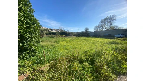 Terreno para Venda em Eiras e São Paulo de Frades