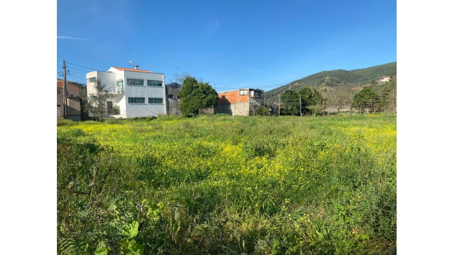 Terreno para Venda em Eiras e São Paulo de Frades Foto 3