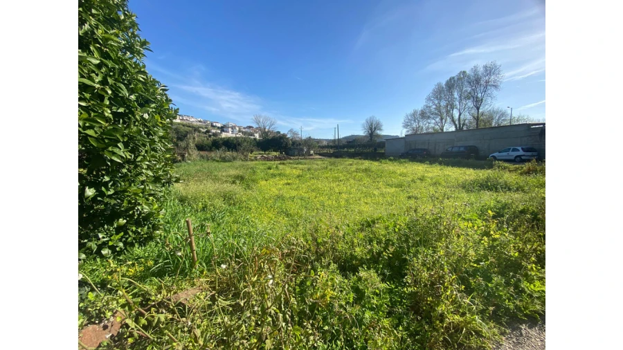 Terreno para Venda em Eiras e São Paulo de Frades Foto 5