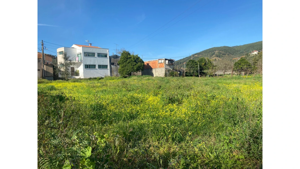 Terreno para Venda em Eiras e São Paulo de Frades Foto 3